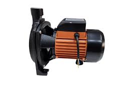 RR 1HP Centrifugal Water Pump